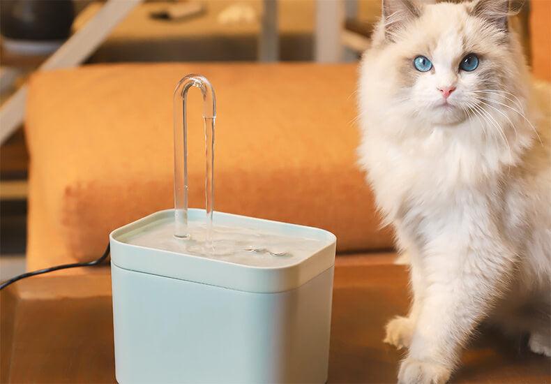 1.5L Ultra-Quiet Pet Water Fountain - Mountauk